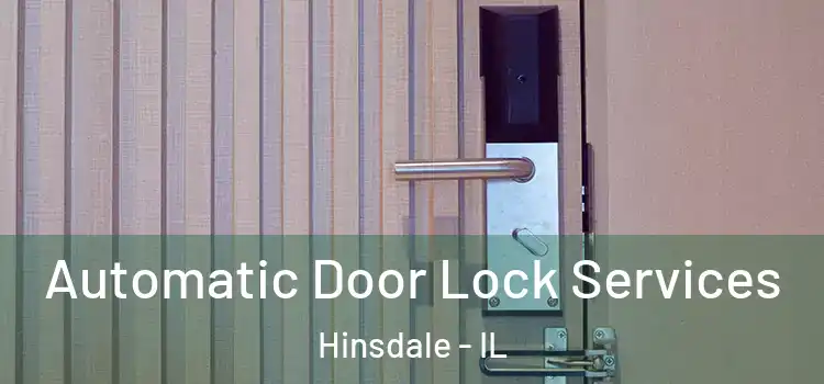  Automatic Door Lock Services Hinsdale - IL