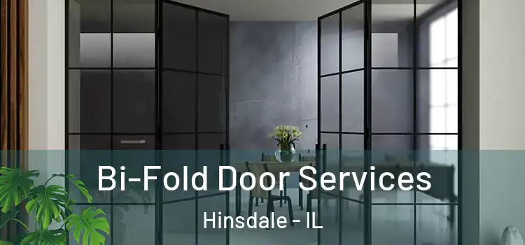  Bi-Fold Door Services Hinsdale - IL