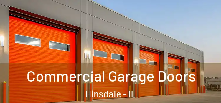  Commercial Garage Doors Hinsdale - IL
