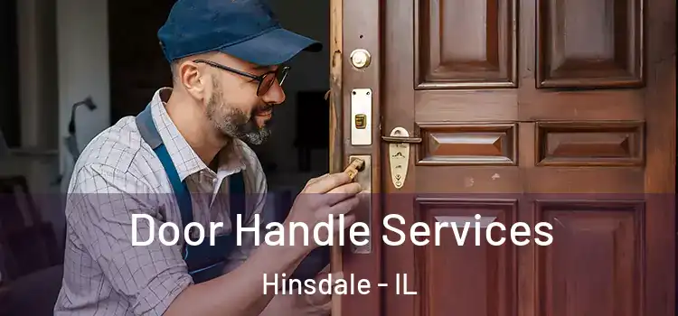  Door Handle Services Hinsdale - IL