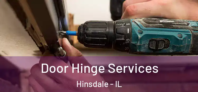  Door Hinge Services Hinsdale - IL