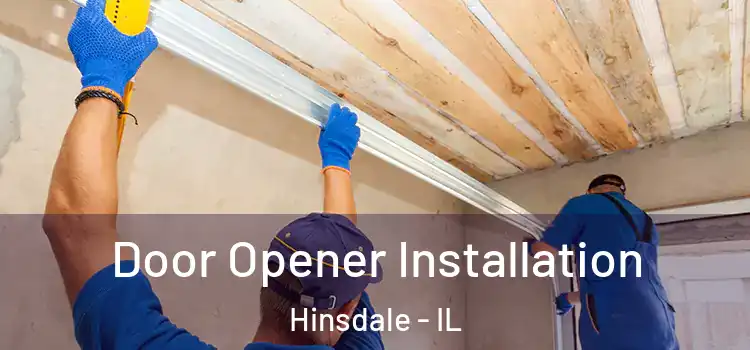  Door Opener Installation Hinsdale - IL