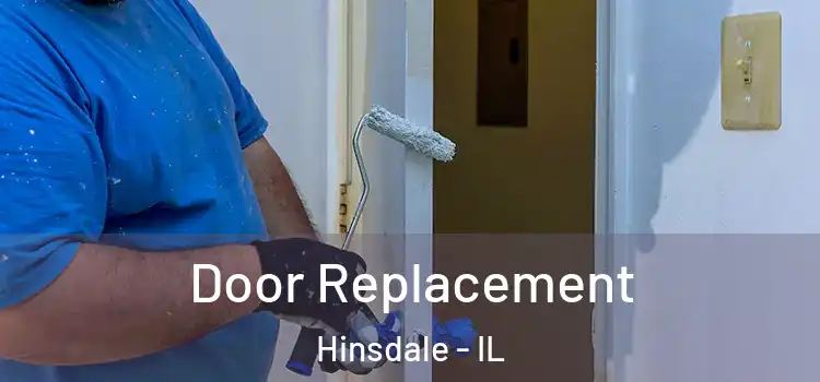  Door Replacement Hinsdale - IL