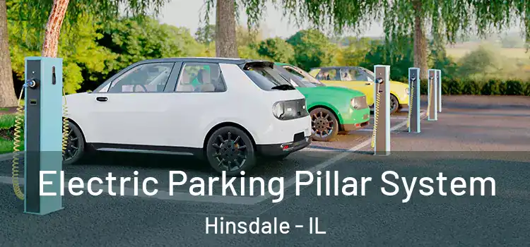  Electric Parking Pillar System Hinsdale - IL