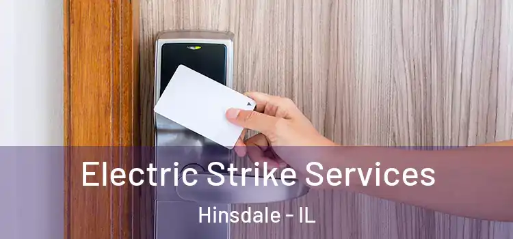  Electric Strike Services Hinsdale - IL