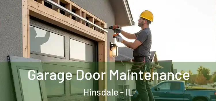  Garage Door Maintenance Hinsdale - IL