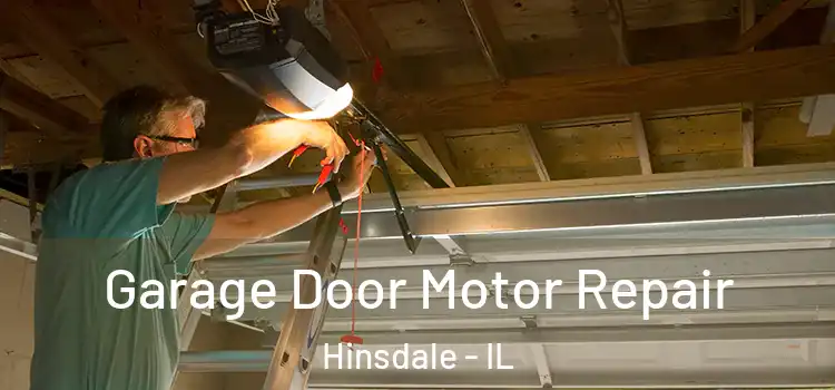  Garage Door Motor Repair Hinsdale - IL