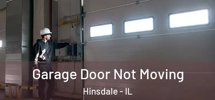  Garage Door Not Moving Hinsdale - IL