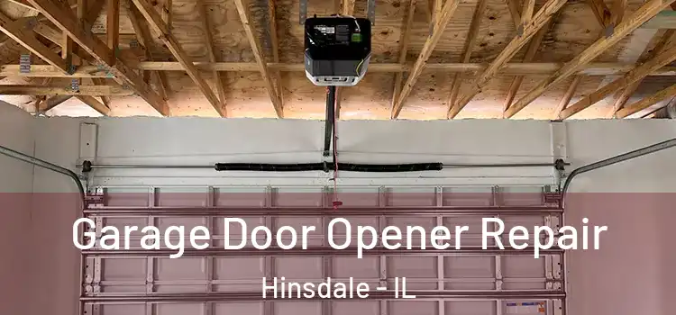  Garage Door Opener Repair Hinsdale - IL