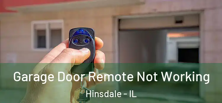  Garage Door Remote Not Working Hinsdale - IL