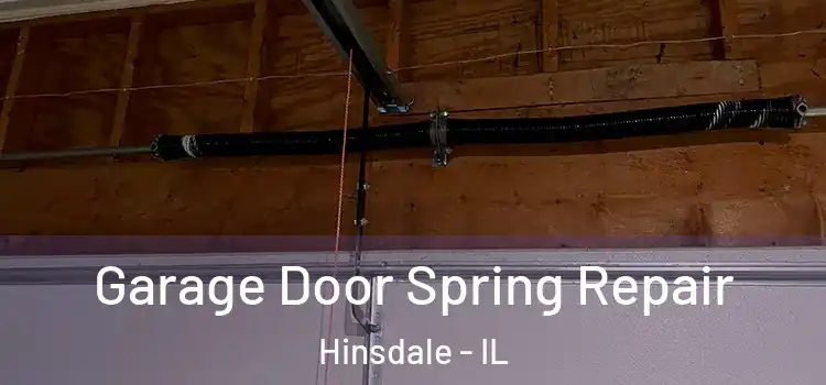  Garage Door Spring Repair Hinsdale - IL