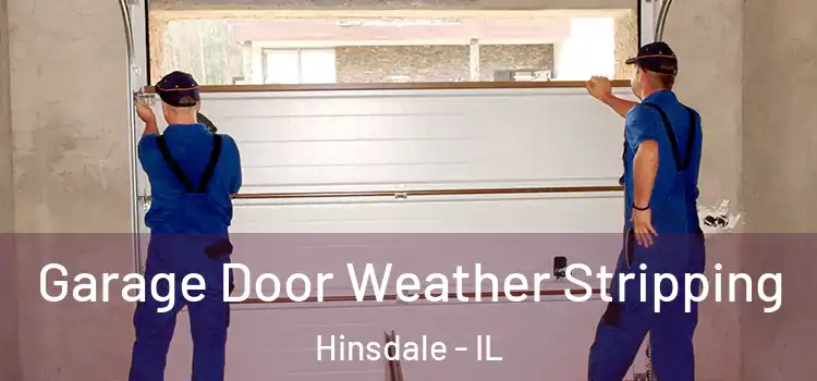  Garage Door Weather Stripping Hinsdale - IL
