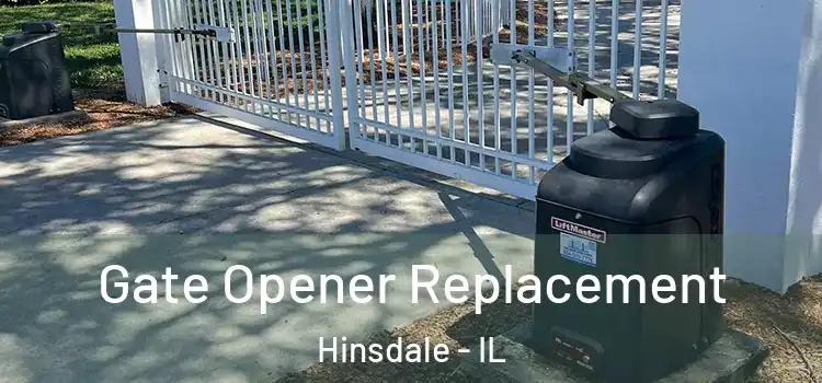  Gate Opener Replacement Hinsdale - IL