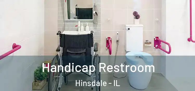  Handicap Restroom Hinsdale - IL
