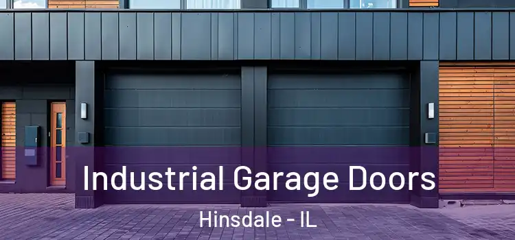  Industrial Garage Doors Hinsdale - IL