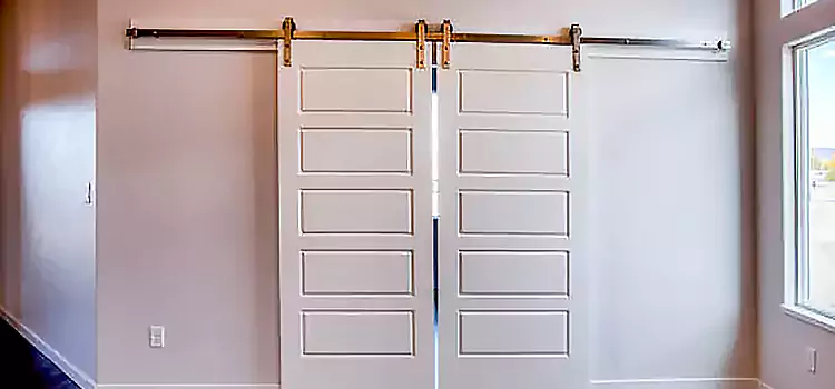 Glass Barn Door with Installation Hardware Kit Hinsdale