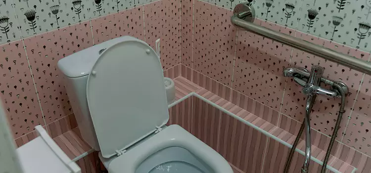 Meeting Diverse Needs With Accessible Restroom Solutions in Hinsdale, IL