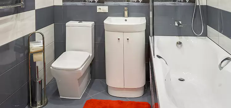 Hansgrohe Shaving Mirror Hinsdale