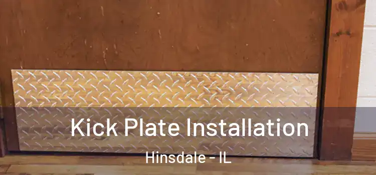  Kick Plate Installation Hinsdale - IL