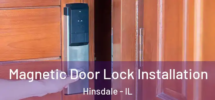  Magnetic Door Lock Installation Hinsdale - IL