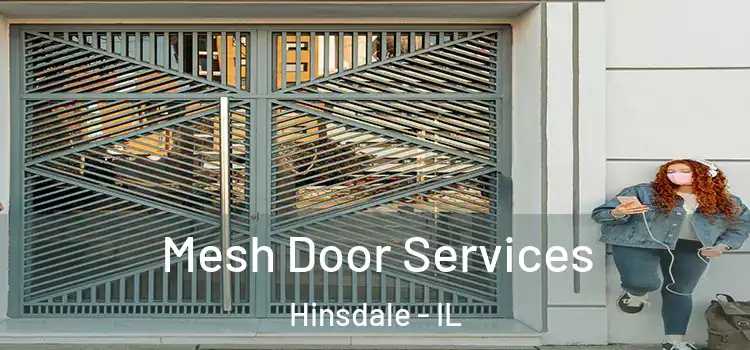  Mesh Door Services Hinsdale - IL
