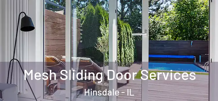  Mesh Sliding Door Services Hinsdale - IL