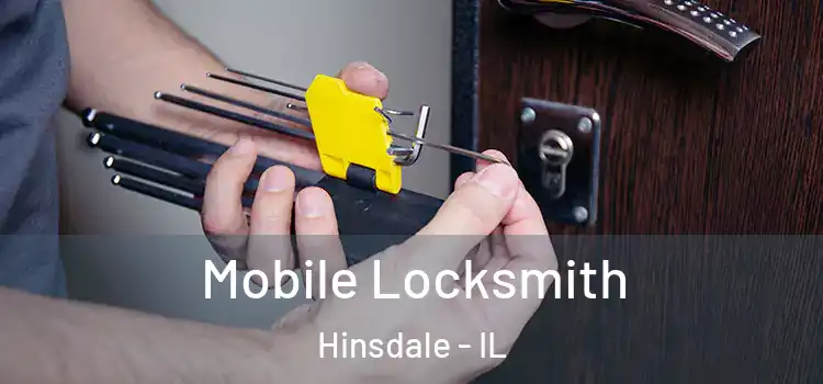  Mobile Locksmith Hinsdale - IL