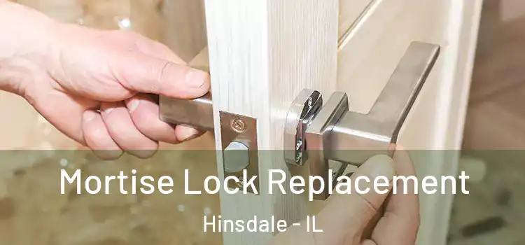  Mortise Lock Replacement Hinsdale - IL