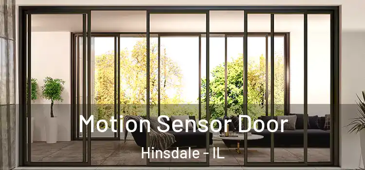  Motion Sensor Door Hinsdale - IL