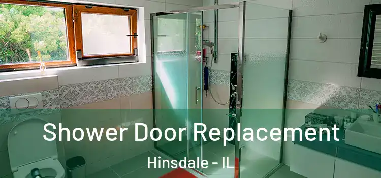  Shower Door Replacement Hinsdale - IL