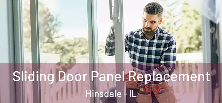  Sliding Door Panel Replacement Hinsdale - IL