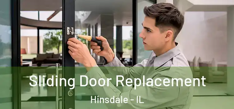  Sliding Door Replacement Hinsdale - IL