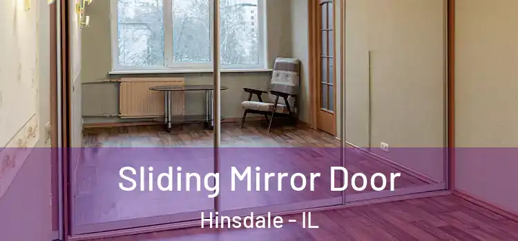  Sliding Mirror Door Hinsdale - IL