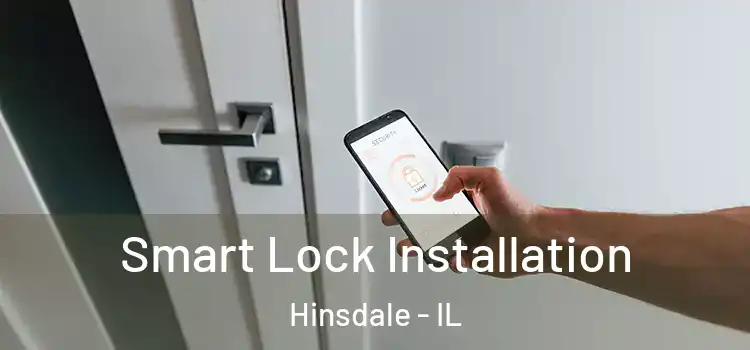  Smart Lock Installation Hinsdale - IL