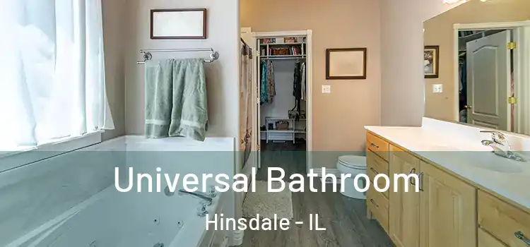  Universal Bathroom Hinsdale - IL
